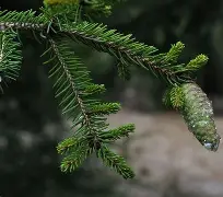 开云官网-c1212是什么