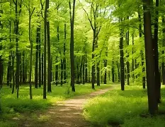 开云-峰度控股骆国峰